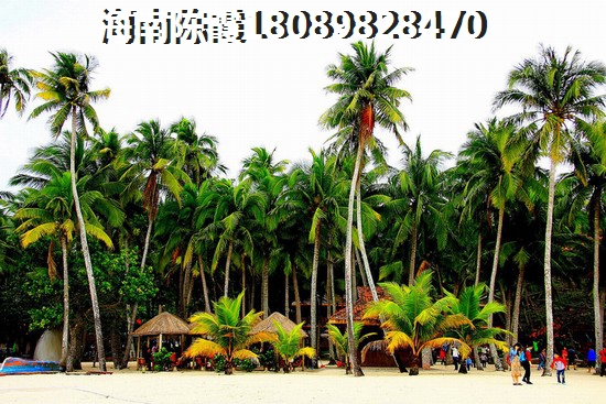 金域华城户型图